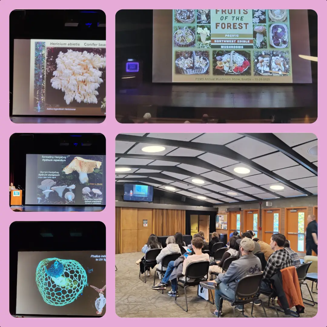 20251030-mushroom-show-lecture2.webp
