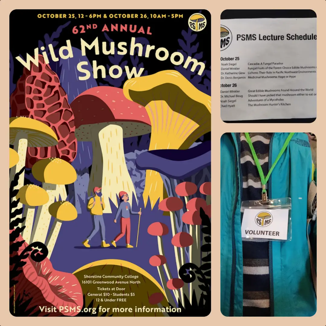 20251030-mushroom-show-01.webp