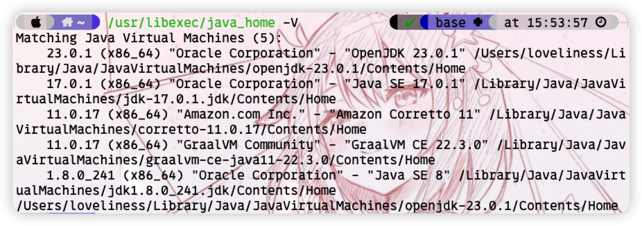 image-20250208164450277