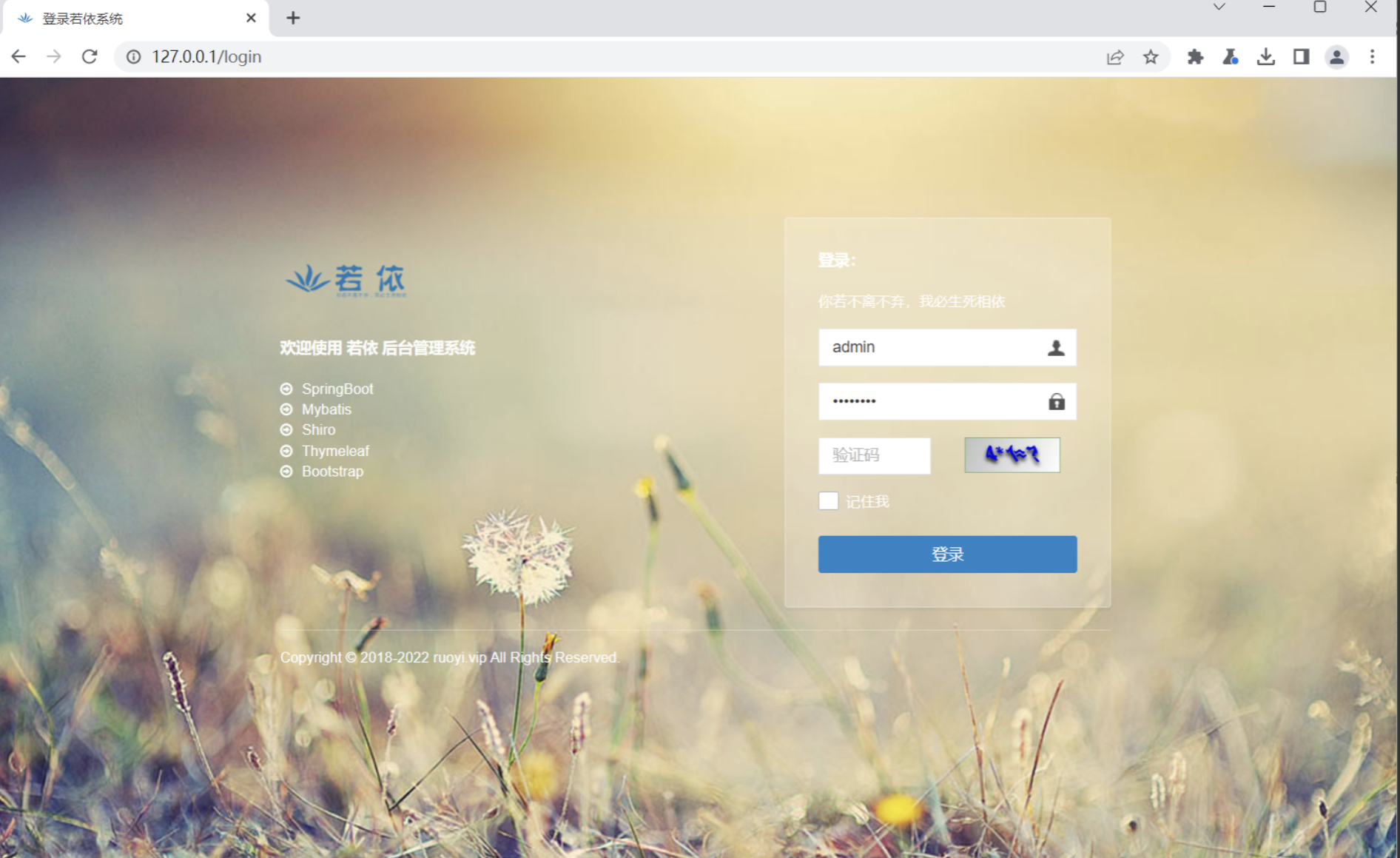 image-20251117143109731