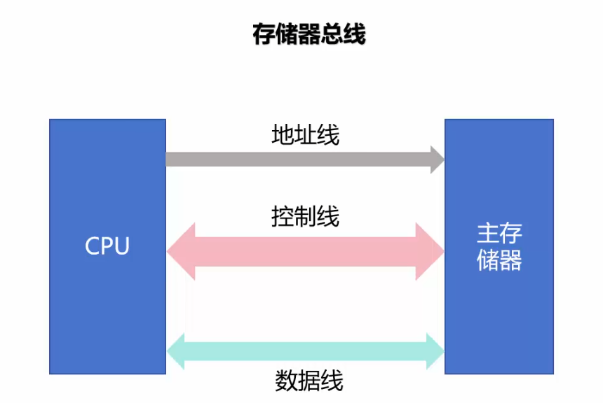 image-20251120005455811