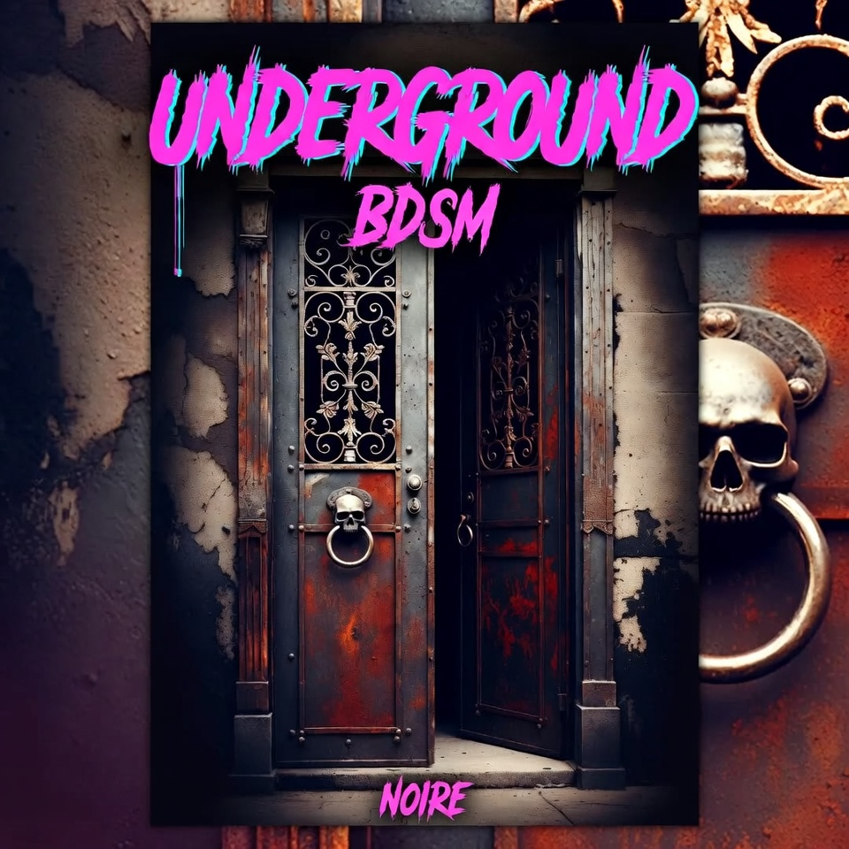 《BDSM360完全指南》 《BDSM360完全指南》