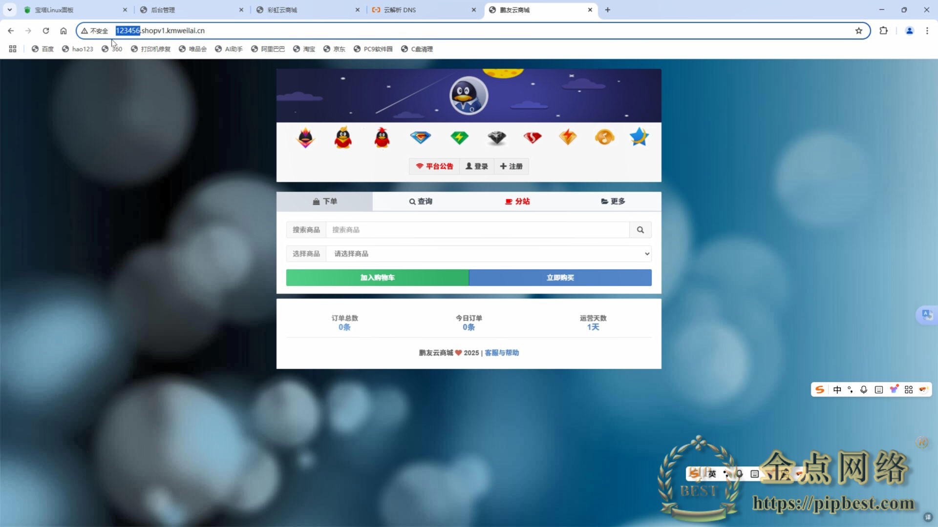官方彩虹自助下单系统源码最终版全开源全解-金点网络-全网资源,一网打尽