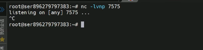 image-20251214181539606