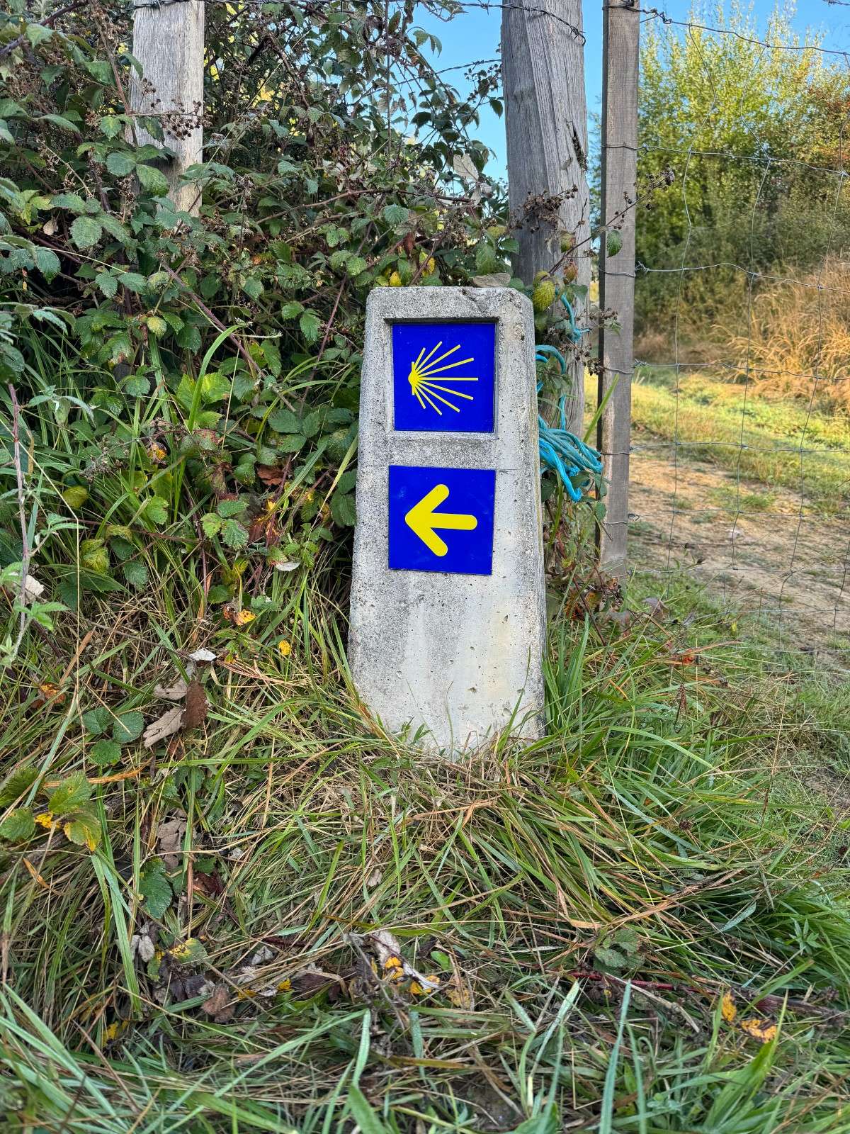camino-frances-journey-day02-2.jpg