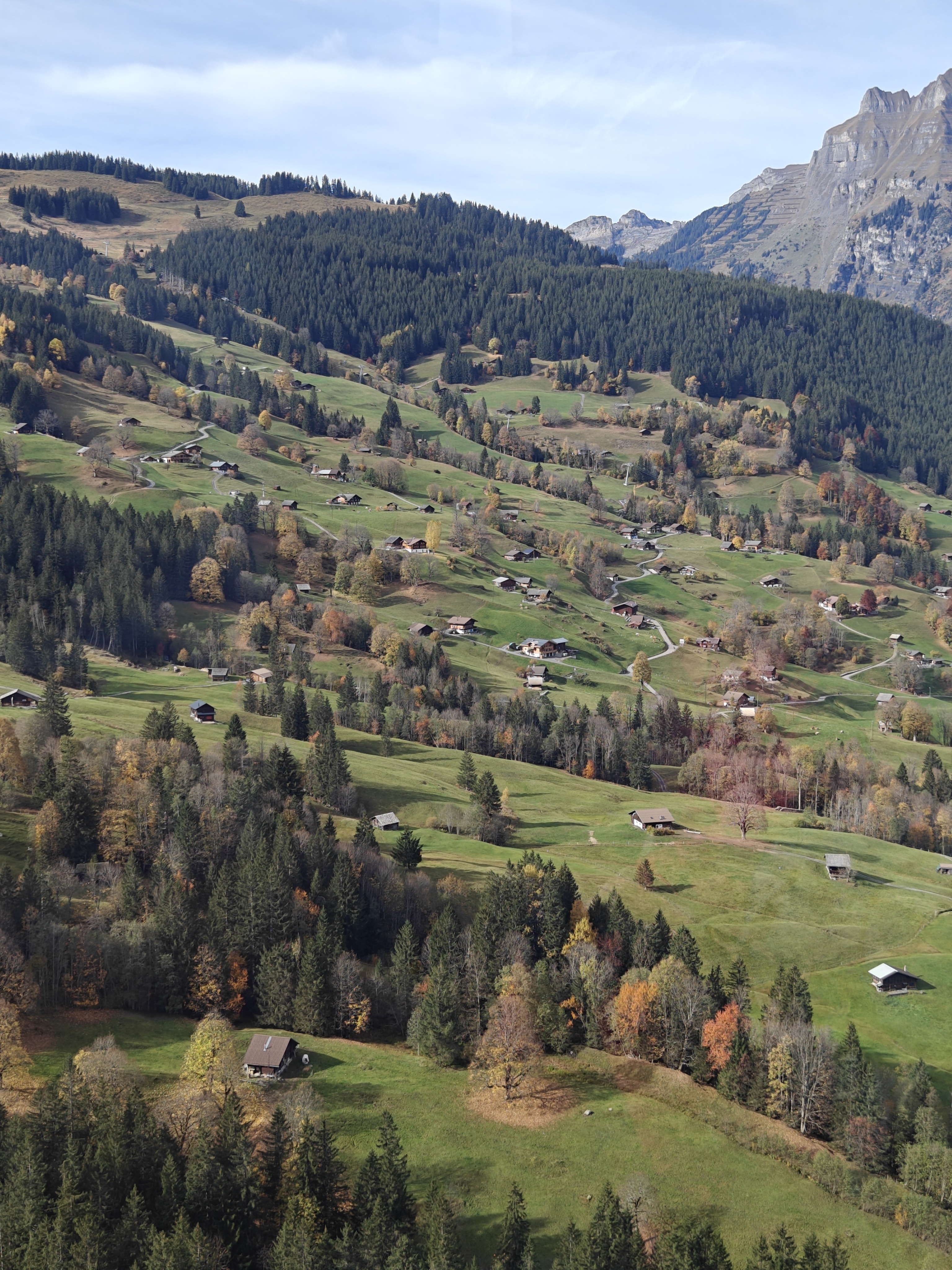 下午的梦幻山坡