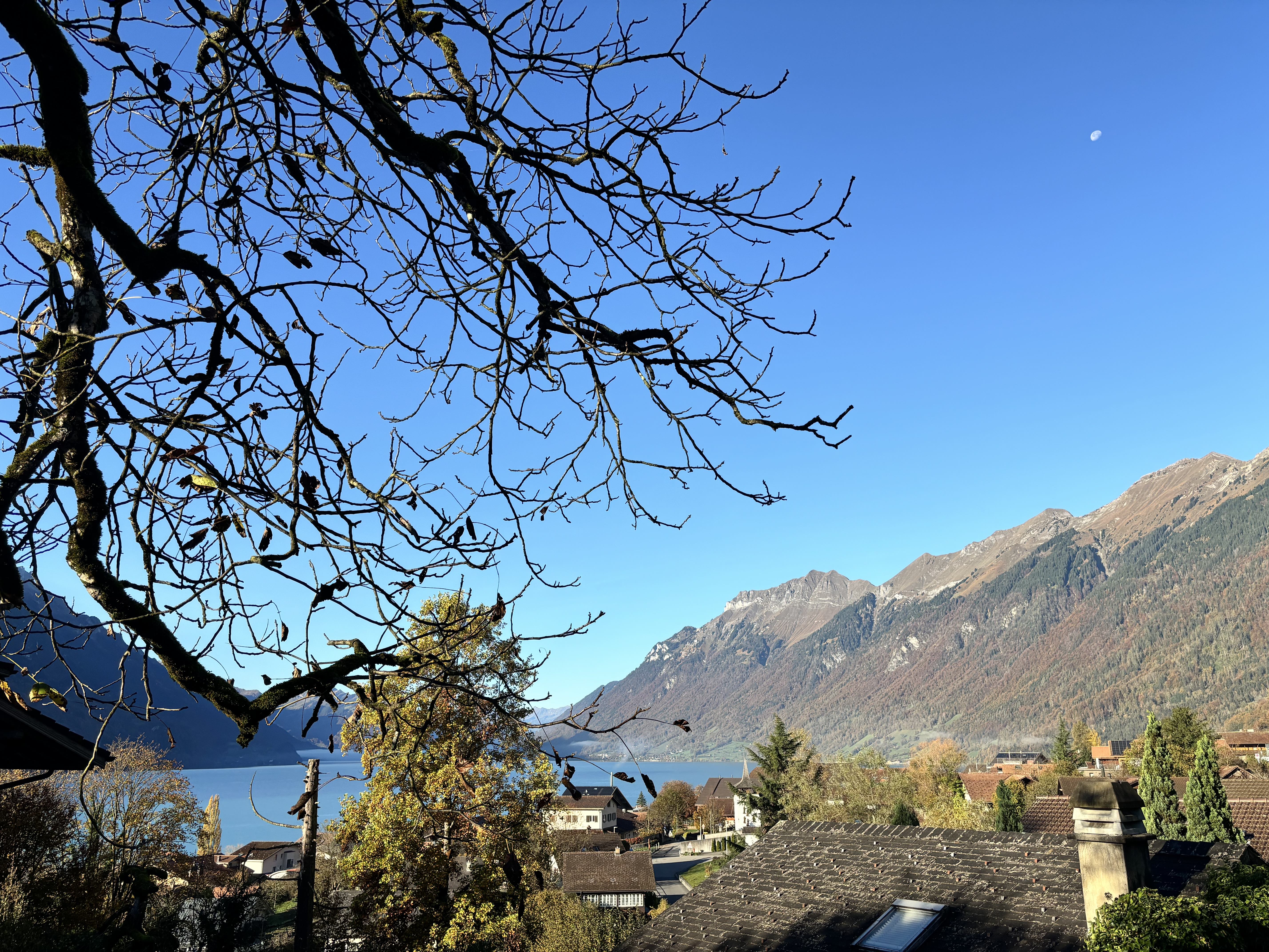 晨间小镇和月亮