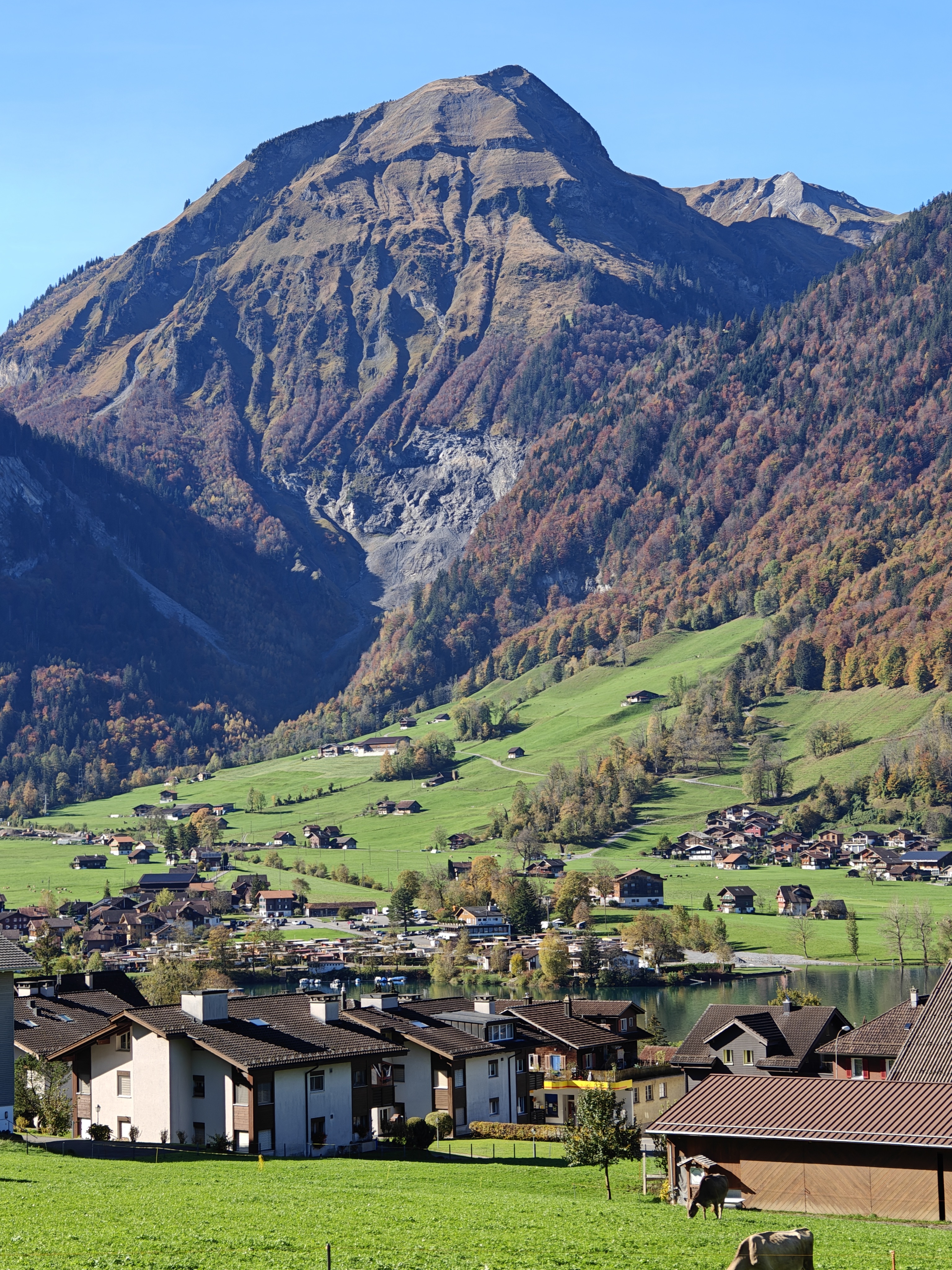 小镇全景-向下视角