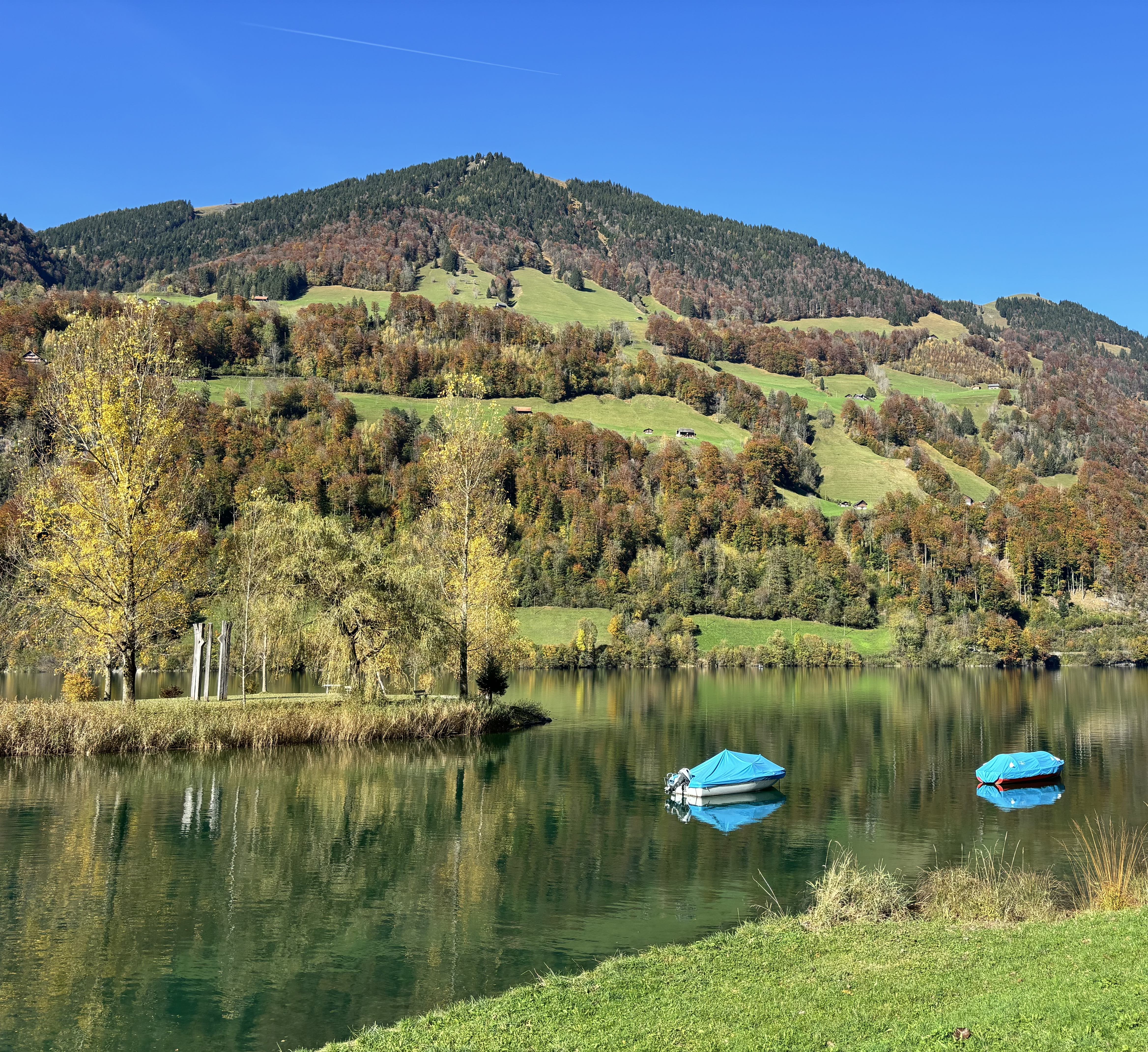 湖心岛(画面左侧)