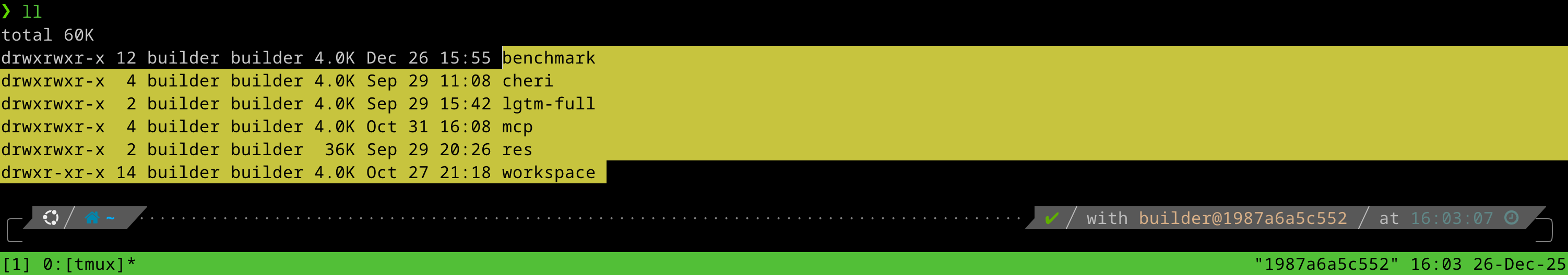 image-20251226160330443