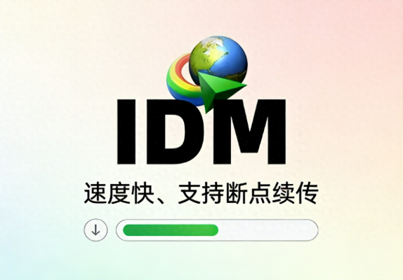 下载神器驾到！IDM汉化版让你网速飞起，告别龟速下载-齐朵屋