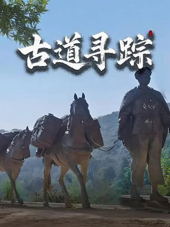 航拍视角下的千年茶马古道在云海与雪峰间蜿蜒，驮队与越野车并行