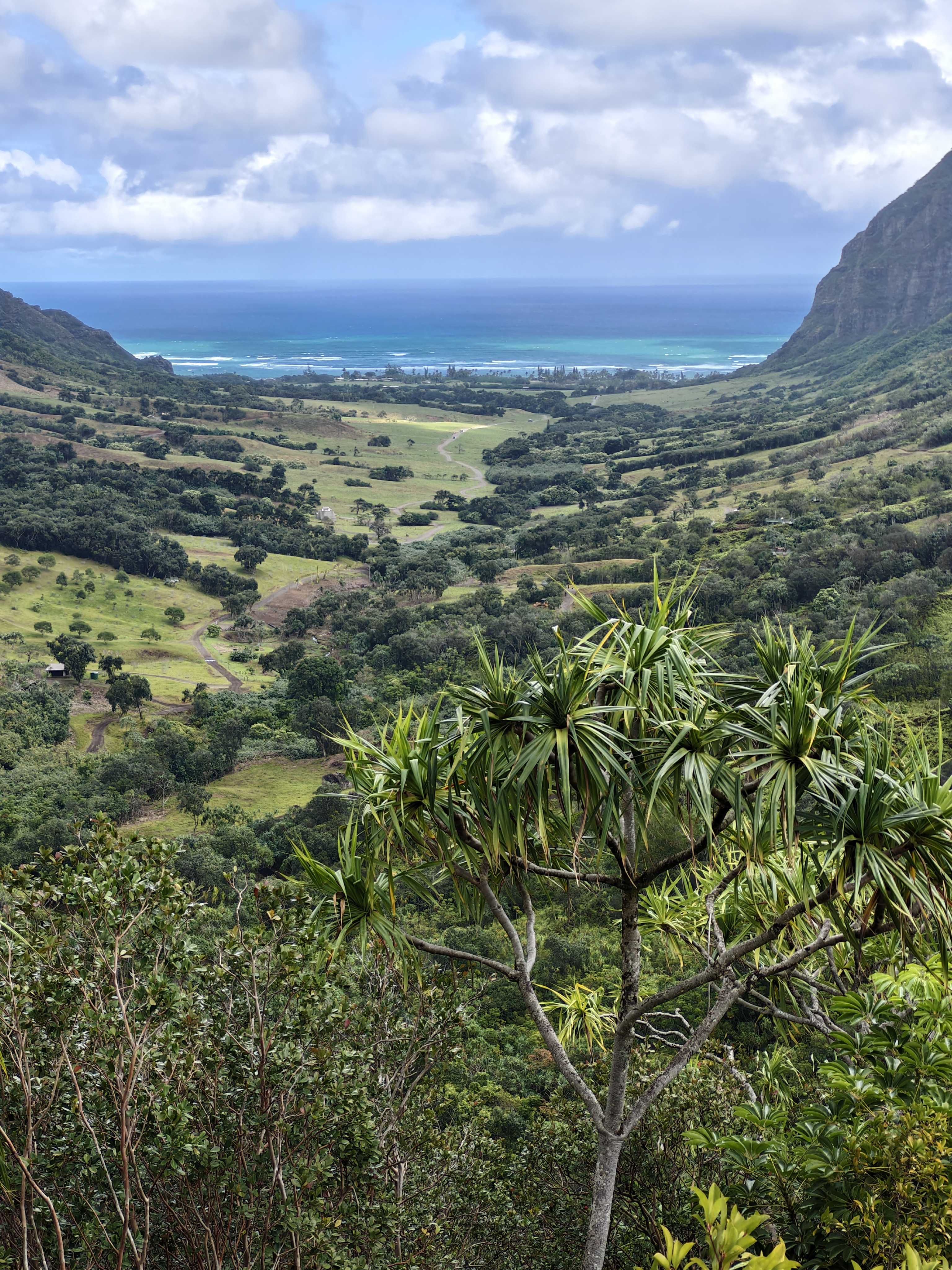 古兰尼牧场山腰