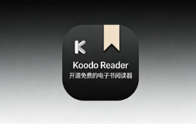 开源阅读神器驾到，Koodo Reader让海量电子书格式一“器”搞定！-齐朵屋