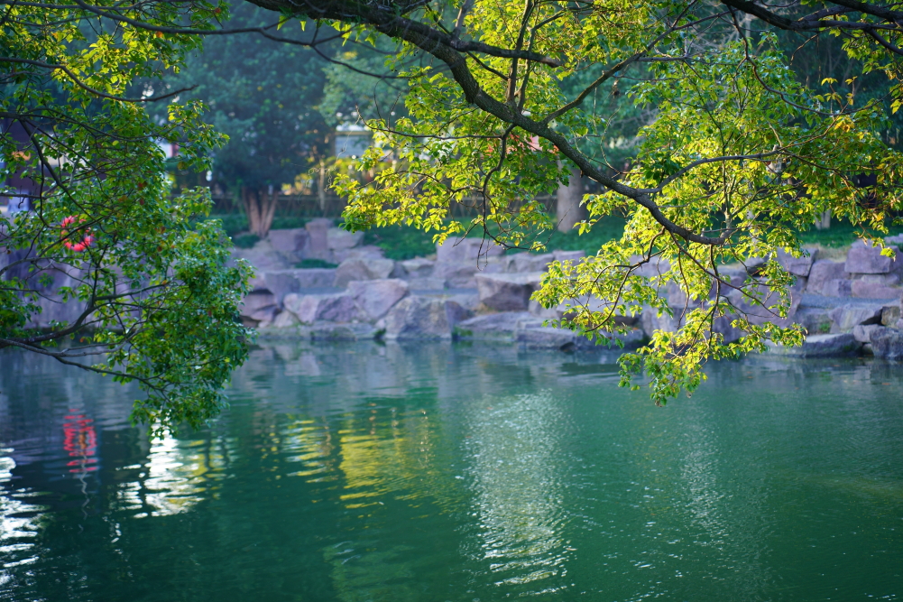 Featured image of post 脑袋一拍去跨年