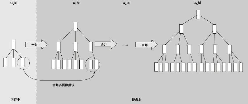 image-20260112165512753