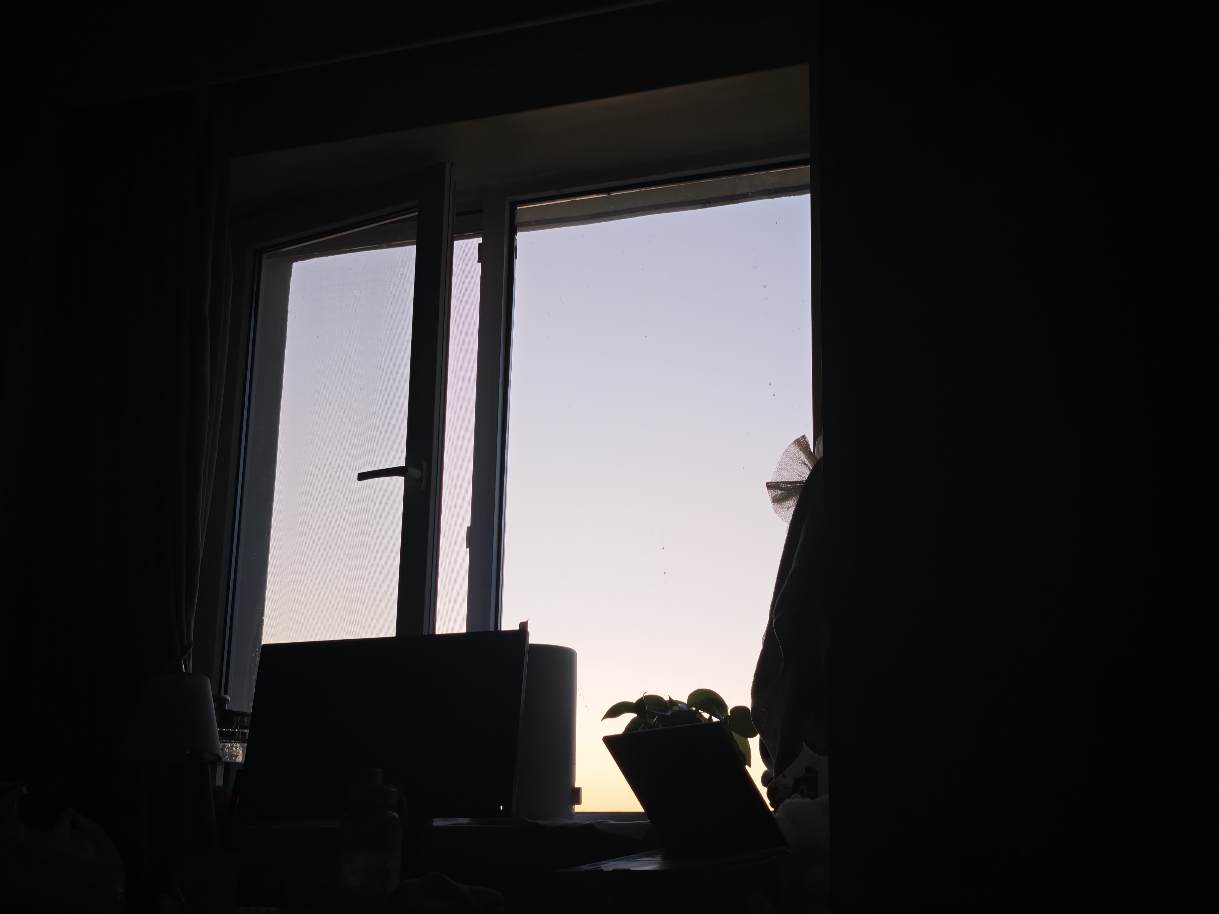 MVIMG_20260111_173052