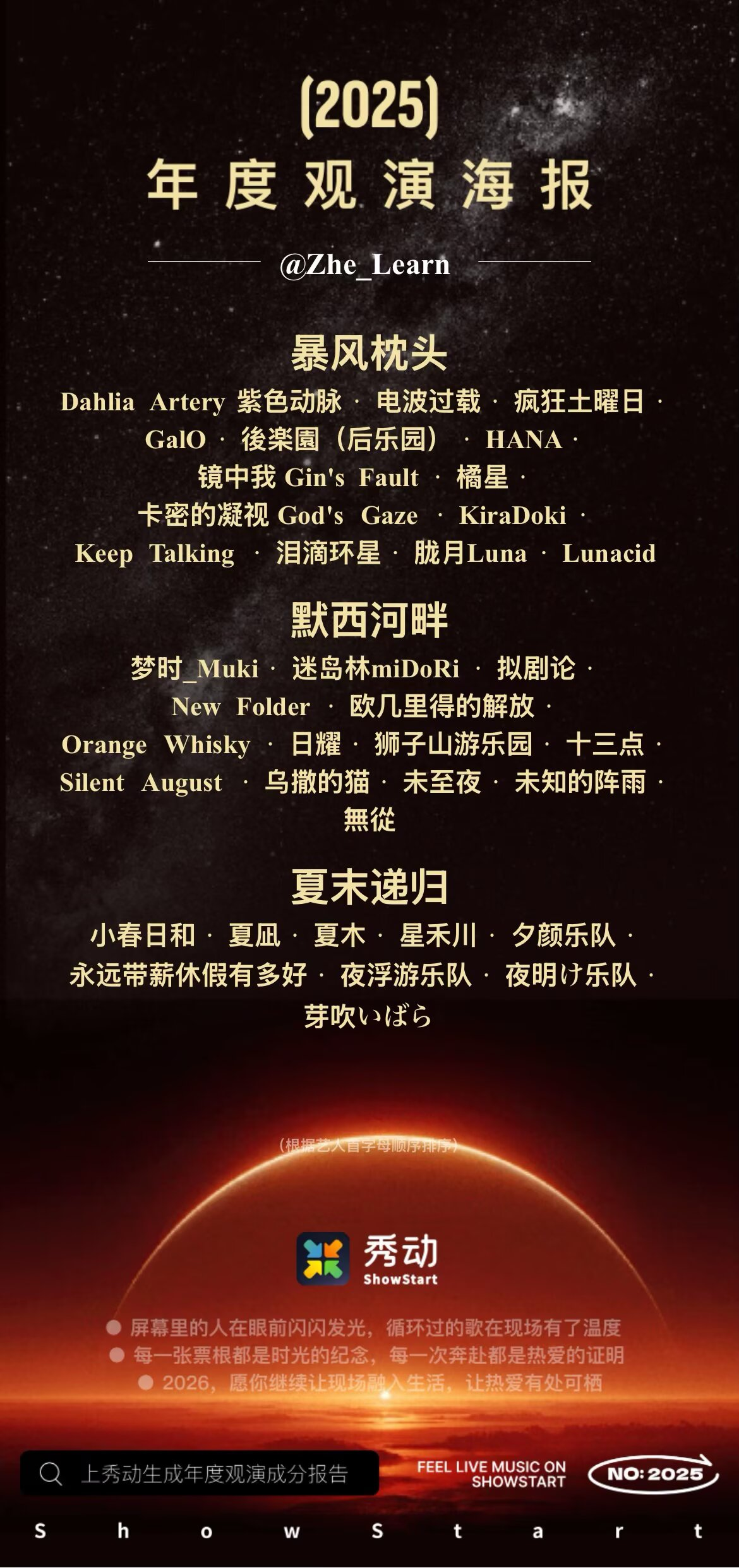 我去看过的乐队