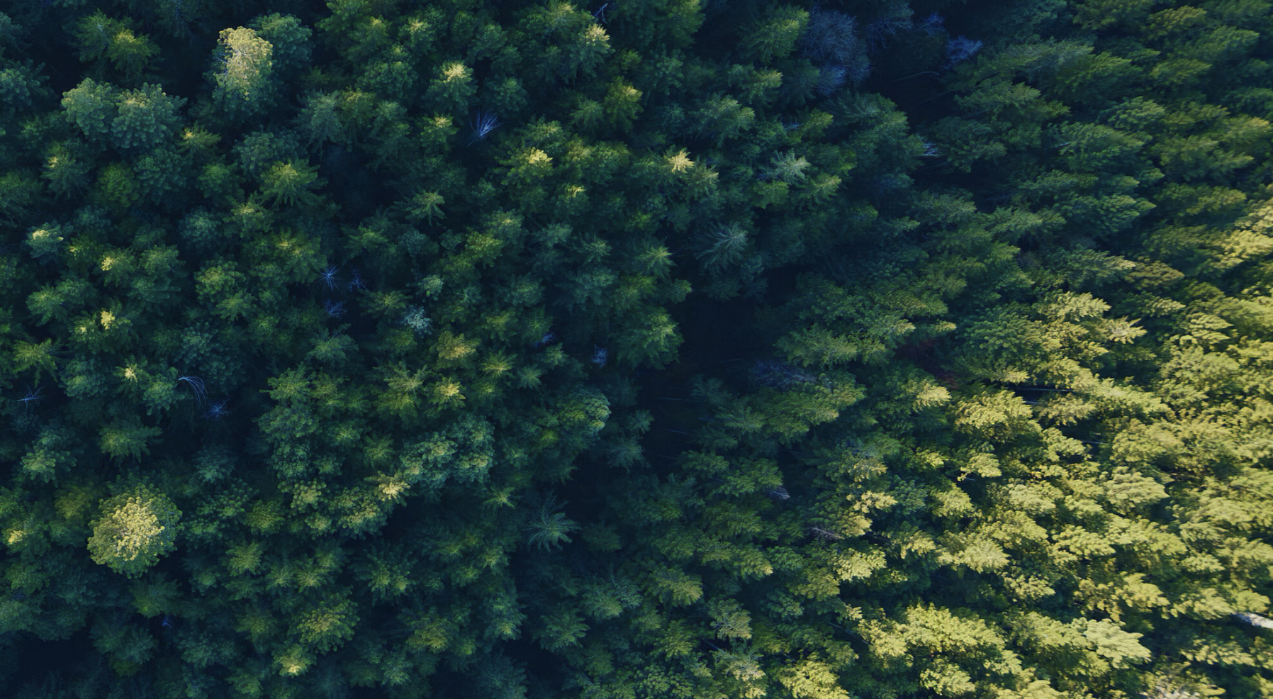 linux服务部署和权限管理