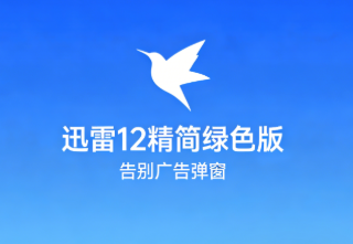 迅雷12精简绿色版驾到!告别广告弹窗,体验纯粹极速下载-齐朵屋