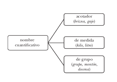 量化名词的分类