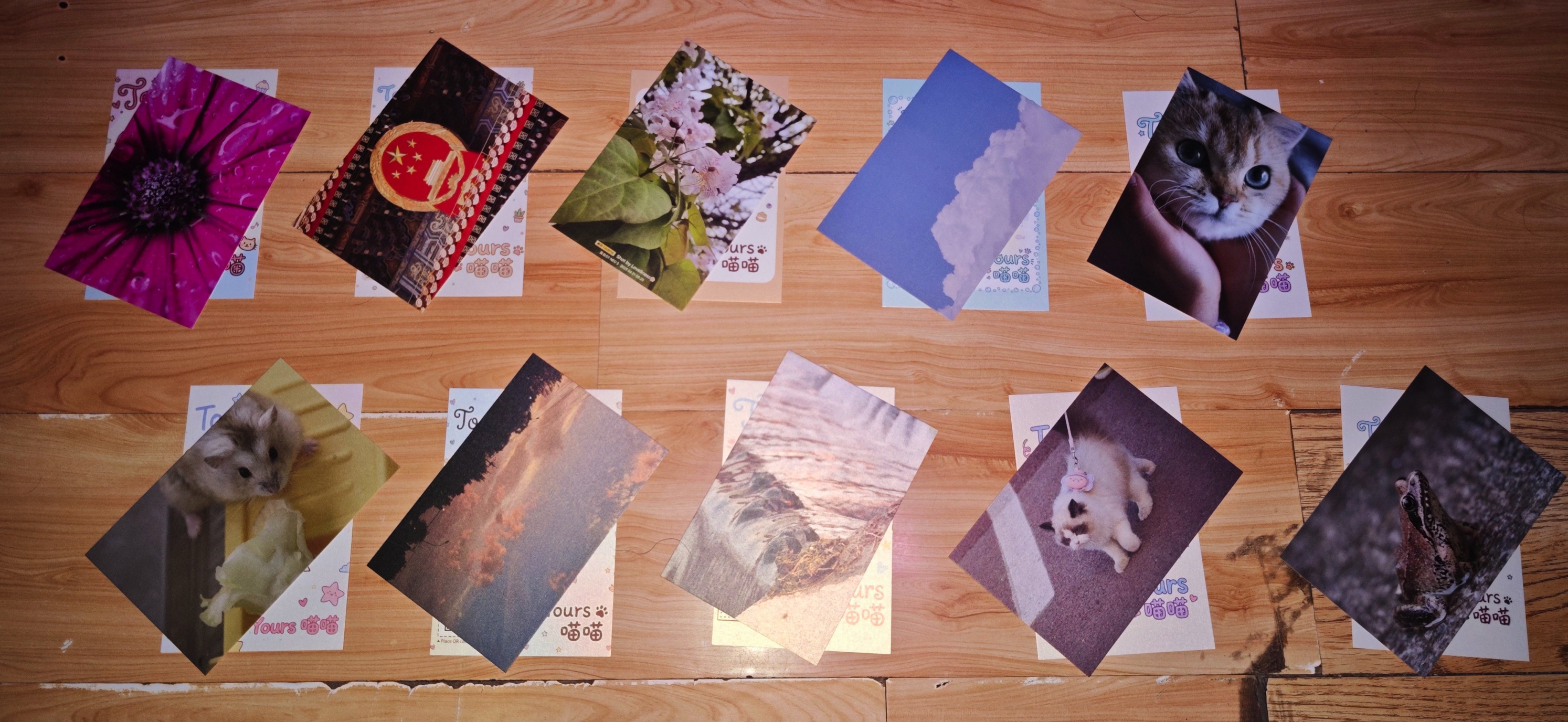 MVIMG_20260125_001416~2