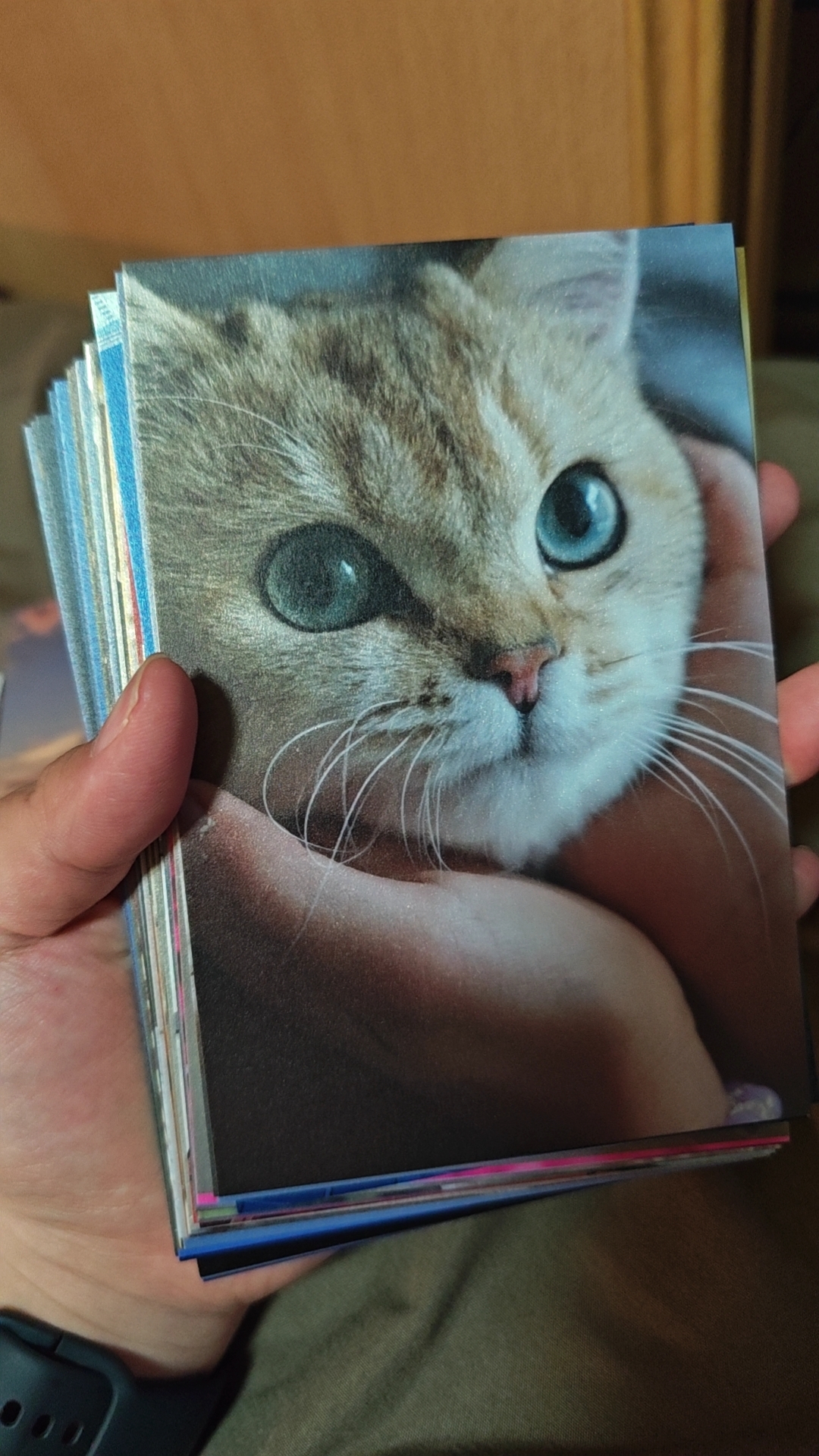 wx_camera_1769270200230