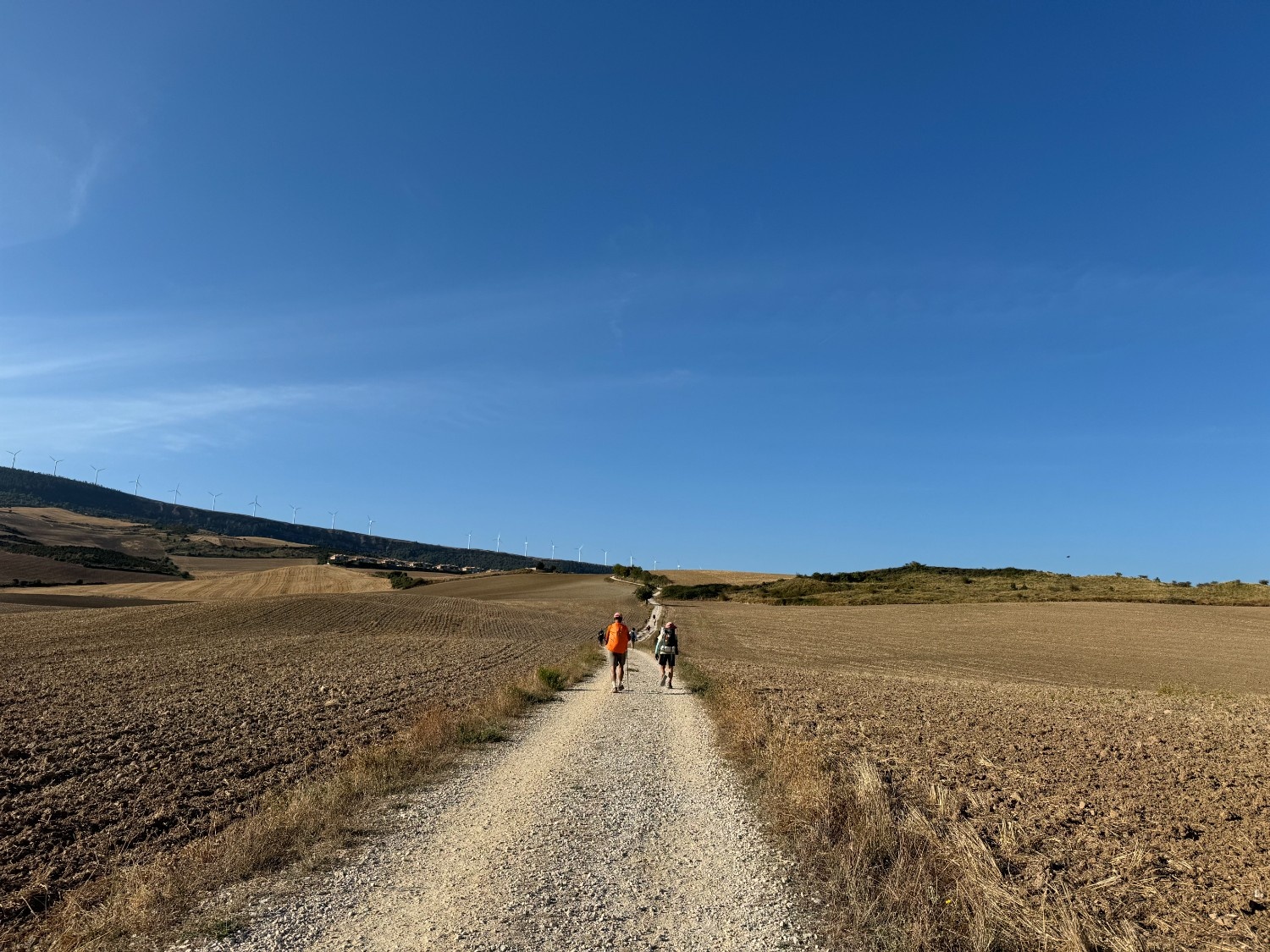 camino-frances-journey-day04-view-1.jpg