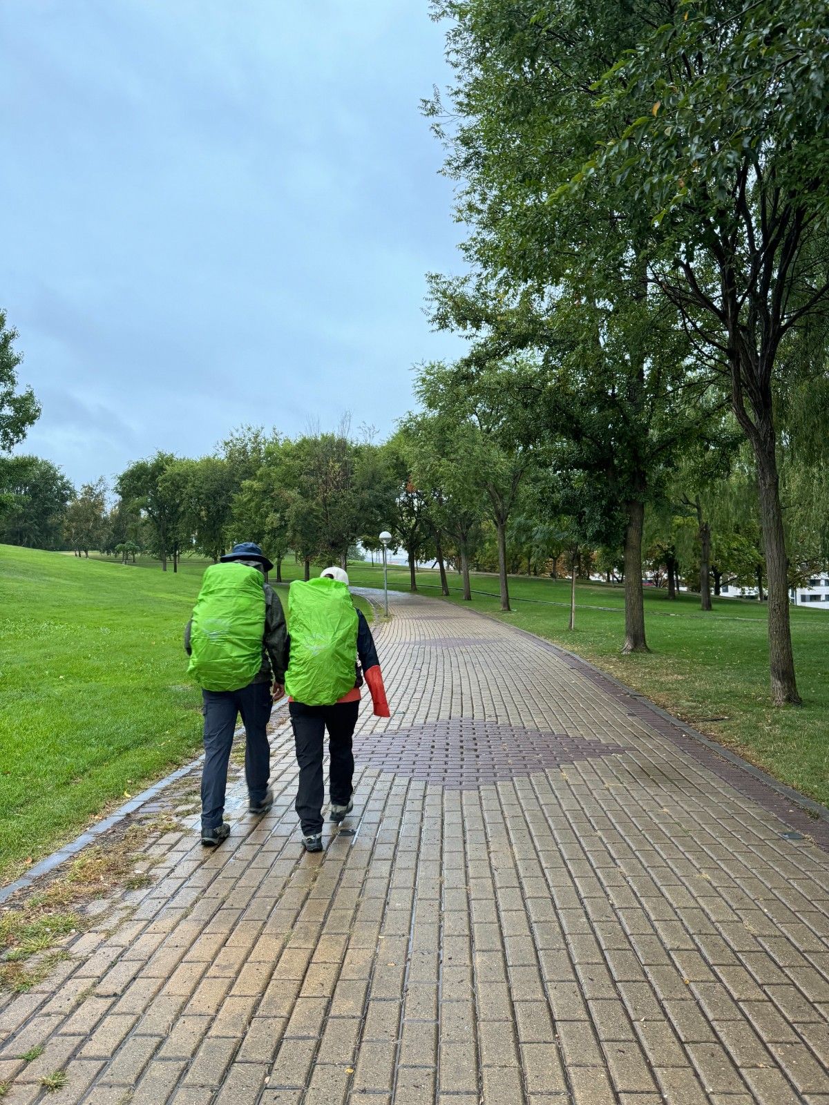 camino-frances-journey-day08-rain.jpg
