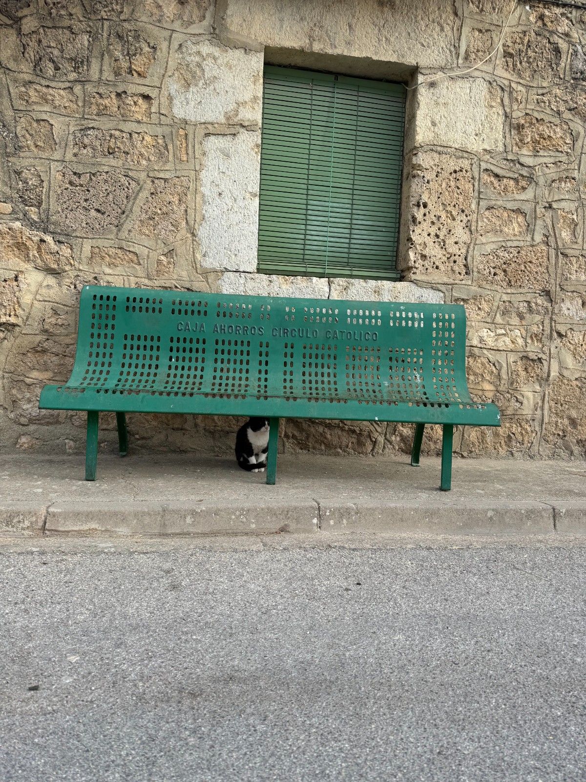 camino-frances-journey-day13-cat1.jpg