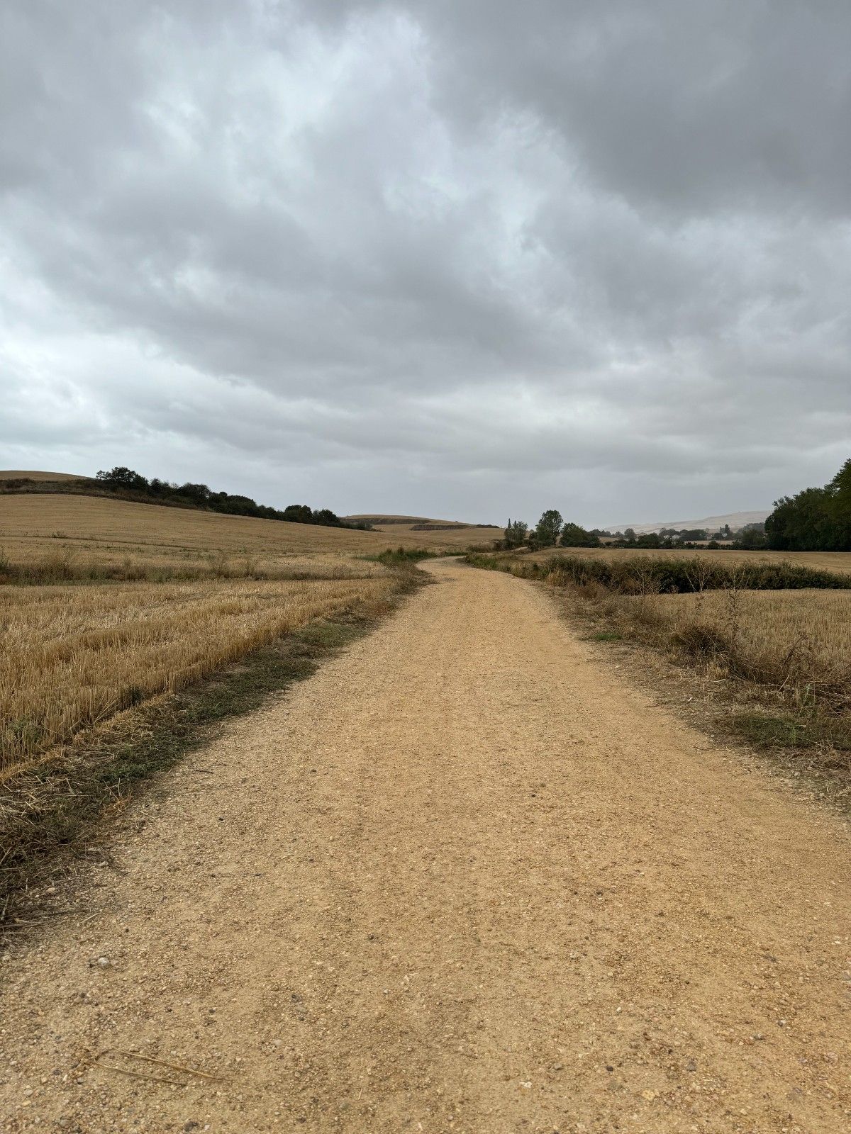 camino-frances-journey-day10-view1.jpg